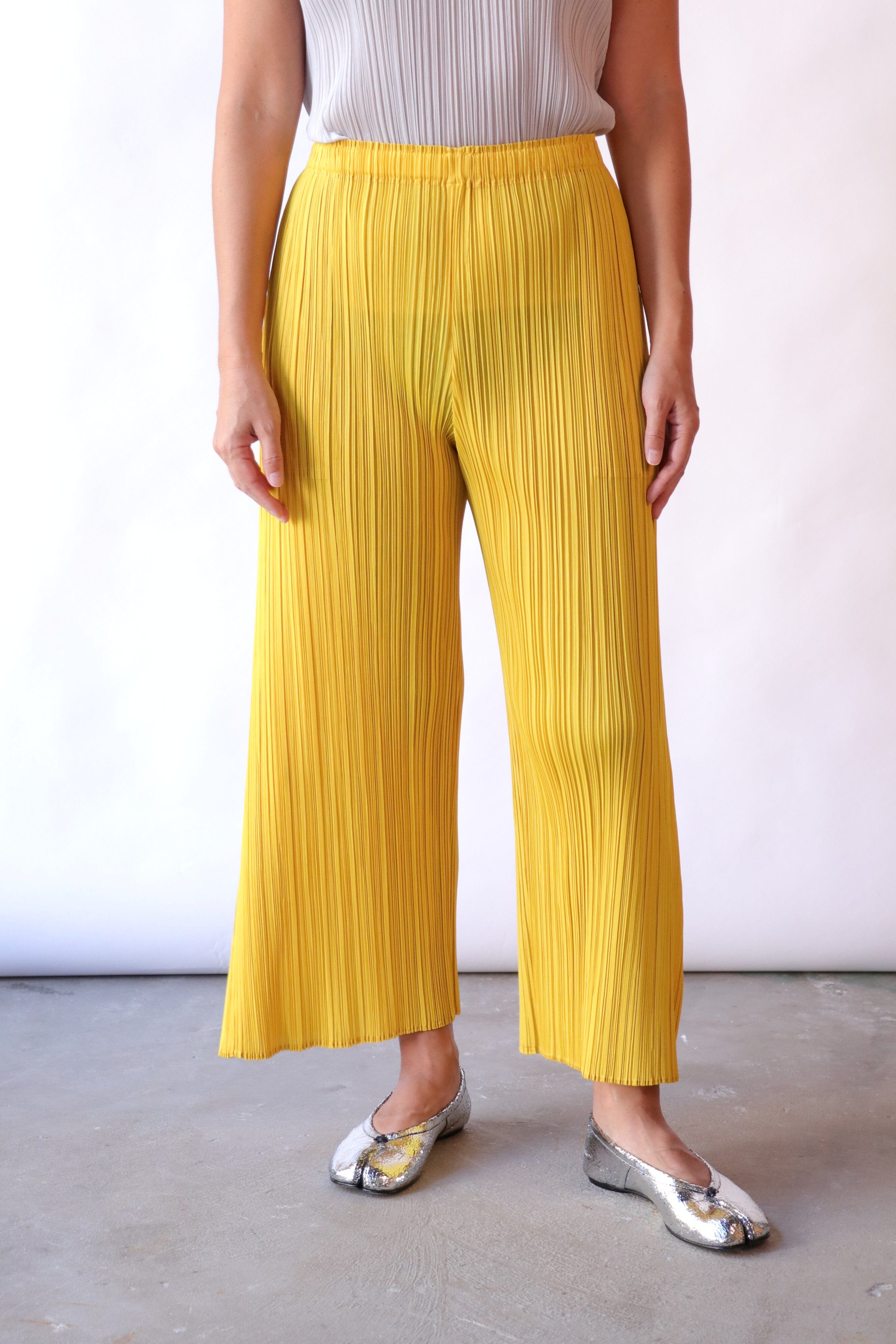 トップス Issey Miyake pleats please monthlycolors Pleats Please Issey Miyake Monthly Colors April Pleated Top