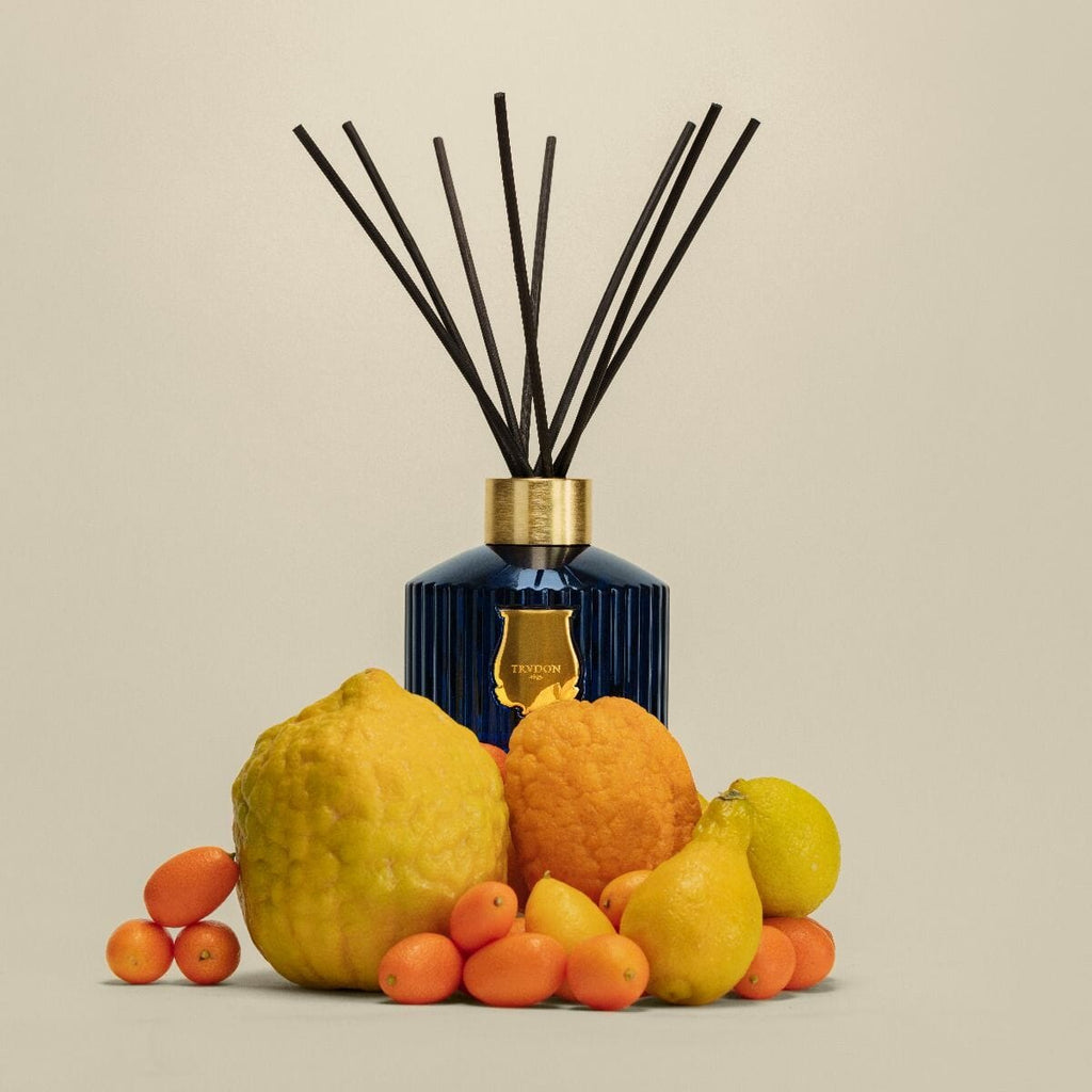 Trudon Diffuser in Belle Matiere Reggio Home Trudon 