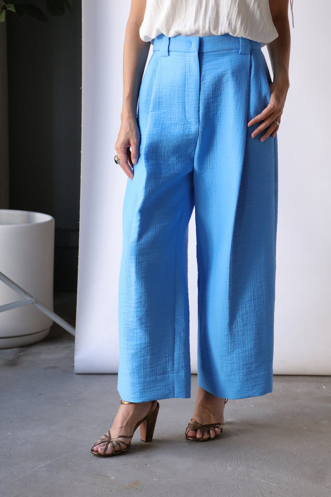 Rachel Comey Crew Pant in Blue Bottoms Rachel Comey 